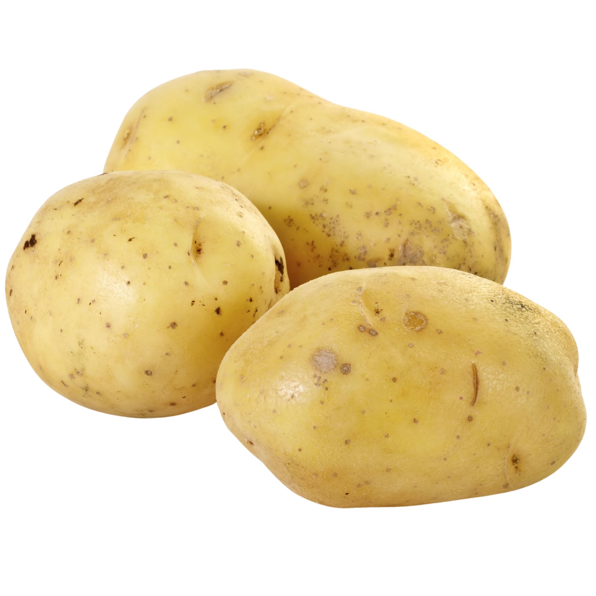 Organic Seed Potatoes - Yukon Gold - 2 Lbs - Solanum tuberosum - Live Potato Sets for Spring Planting - Non-GMO, Hybrid Potatoe 